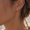 puces d'oreilles honoré rose