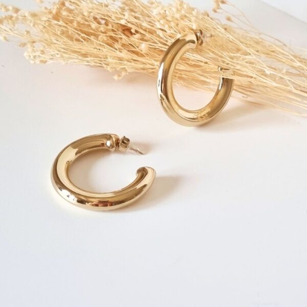 créoles anneau épais